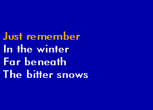 Just remember
In the winter

Far beneath
The bitter snows