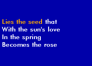 Lies the seed that
With the sun's love

In the spring
Becomes the rose