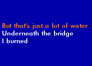 But that's just a lot of water

Underneath the bridge
I burned