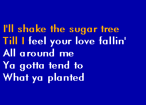 I'll shake the sugar free
Till I feel your love fallin'

All around me
Ya 90110 tend to
What ya planted