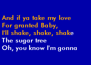 And if ya take my love
For granted Ba by,

I'll shake, shake, shake

The sugar free
Oh, you know I'm gonna