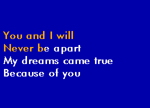 You and I will
Never be apart

My dreams come true
Because of you