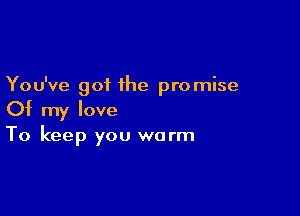 You've got the promise

Of my love
To keep you warm