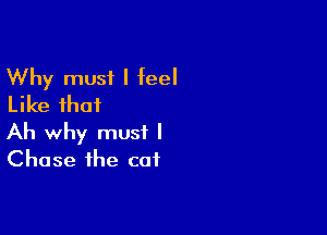 Why must I teel
Like that

Ah why must I
Chase the cat
