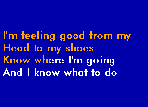 I'm feeling good from my
Head to my shoes

Know where I'm going
And I know what to do