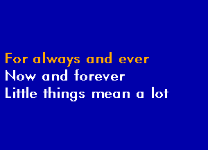 For always and ever

Now and forever
Liiile things mean a lot