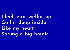 I feel fears wellin' up

Callin' deep inside

Like my heart
Sprung a big break