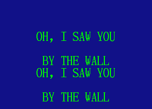 OH, I SAW YOU

BY THE WALL
OH, I SAW YOU

BY THE WALL