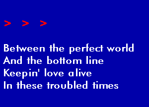 Beiween 1he perfect world
And he boHom line
Keepin' love alive

In 1hese iroubled times