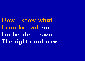 Now I know what
I can live wiihoui

I'm headed down
The right road now