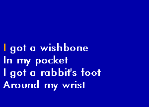 I got a wishbone

In my pocket
I got a rabbit's foot
Around my wrist