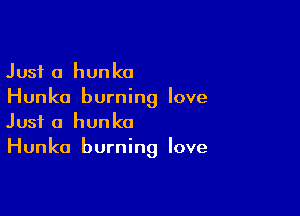 Just a hunka
Hunko burning love

Just a hunko
Hunka burning love