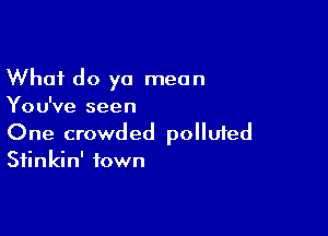 What do ya mean
You've seen

One crowded polluied
Sfinkin' town