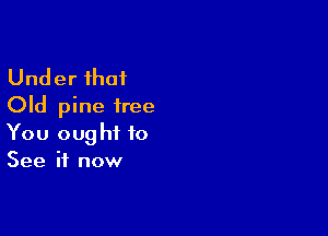 Under that
Old pine free

You ought to
See it now
