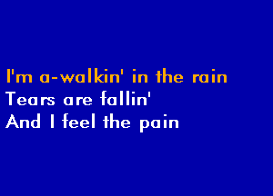 I'm a-walkin' in the rain

Tears are follin'

And I feel the pain