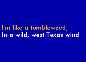 I'm like a iumbleweed,

In a wild, west Texas wind