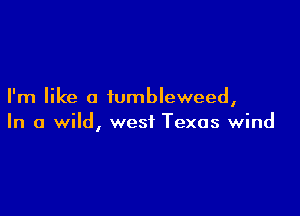 I'm like a iumbleweed,

In a wild, west Texas wind