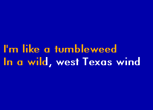 I'm like a iumbleweed

In a wild, west Texas wind