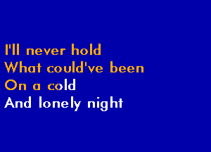 I'll never hold
Whai could've been

On a cold
And lonely night