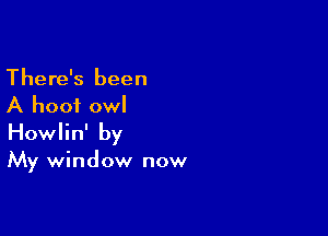 There's been
A hoof owl

Howlin' by

My window now