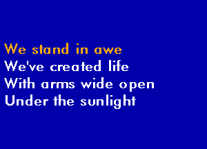 We stand in awe
We've created life

With arms wide open
Under the sunlight