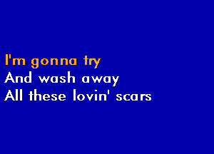 I'm gonna try

And wash away
All these lovin' scars