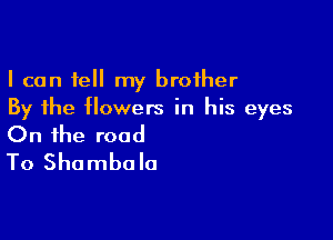 I can tell my brother
By the flowers in his eyes

On the road
To Shambola