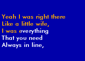 Yeah I was right there
Like a lime wife,

I was everything
That you need
Always in line,