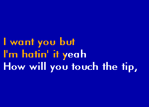 I want you but

I'm hoiin' it yeah
How will you touch the tip,