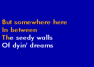 But somewhere here
In between

The seedy walls
Of dyin' dreams