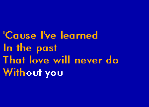 'Cause I've learned
In the past

Thai love will never do
Without you