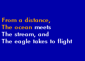 From 0 distance,
The ocean meets

The stream, and
The eagle takes to flight