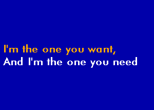 I'm the one you want,

And I'm the one you need