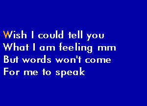 Wish I could tell you
Whai I am feeling mm

Buf words won't come
For me to speak