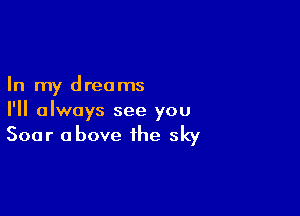 In my dreams

I'll always see you

Soar above the sky