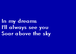 In my dreams

I'll always see you

Soar above the sky