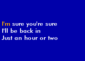 I'm sure you're sure

I'll be back in

Just an hour or two