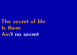 The secret of life

Is there
Ain't no secret