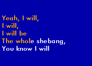 Yeah, I will,
I will,

I will be

The whole shebang,

You know I will