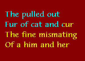 The pulled out
Fur of cat and cur

The fine mismating
Of 3 him and her