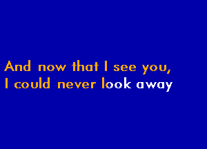 And now that I see you,

I could never look away