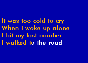 It was too cold to cry
When I woke up alone

I hit my last number
I walked to the road