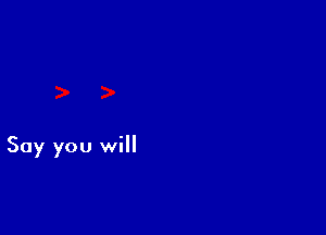 Say you will
