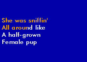 She was sniffin'
All around like
A half-grown

Fe male pup