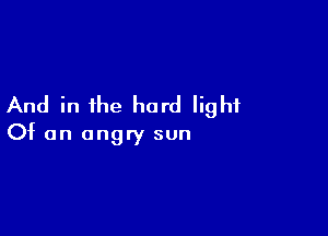 And in the hard light

Of an angry sun