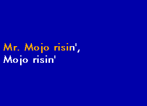 Mr. Moio risin',

Moio risin'