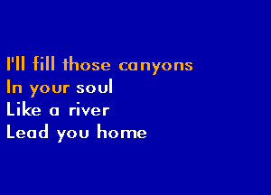 I'll fill those canyons
In your soul

Like a river
Lead you home