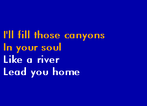 I'll fill those canyons
In your soul

Like a river
Lead you home