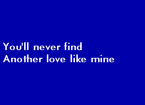 You'll never find

Another love like mine