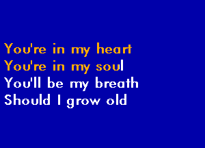 You're in my heart
You're in my soul

You'll be my breath
Should I grow old